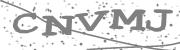 Type the letters in the image or Type the first letter of the words spoken in the audio.