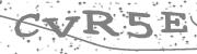 Type the letters in the image or Type the first letter of the words spoken in the audio.