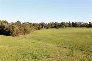 Freeway Reserve oval