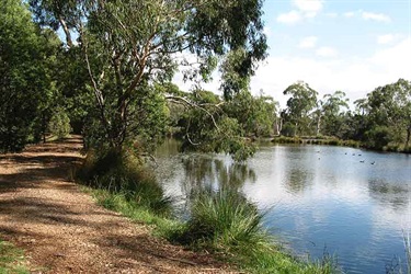 Glen Waverley Golf Course lake