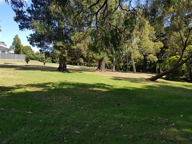 Hertford Crescent Reserve dog off-leash area