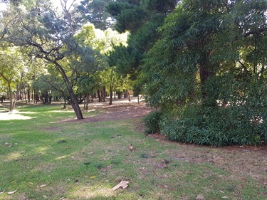Hertford Crescent Reserve dog off-leash area
