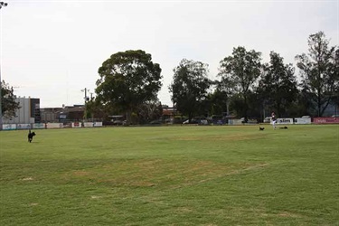 Jack Edwards Reserve off-leash area
