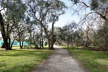 Lum Reserve shared track