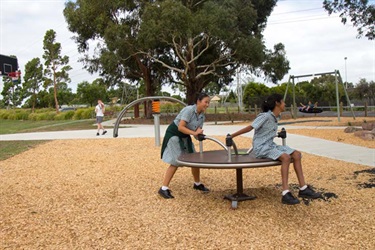 Mayfield Park Reserve playground
