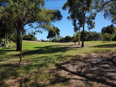 Powerlines area - Pamela Street to Smyth Street dog off-leash area
