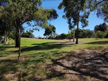 Powerlines area - Pamela Street to Smyth Street dog off-leash area