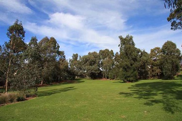 Reg Harris Reserve park