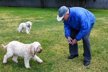 Tally Ho Reserve off-leash area