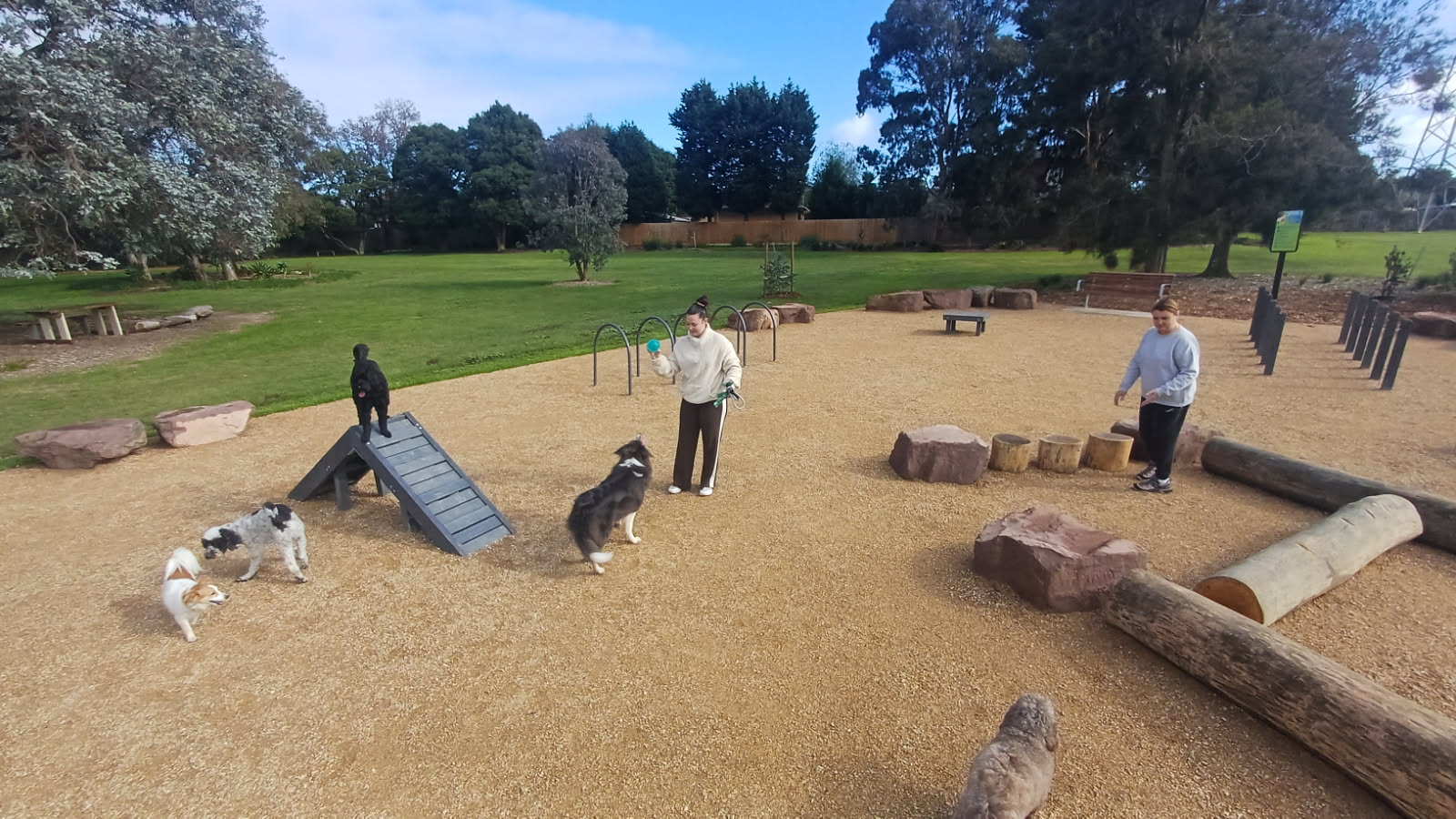 3 dog owners and their dogs enjoying the newly upgraded dog off leash area at Whitehaven Crescent Reserve
