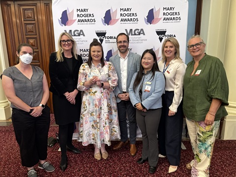 VLGA awards - November 25