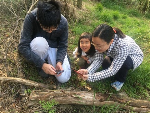 Bioblitz-2.jpg