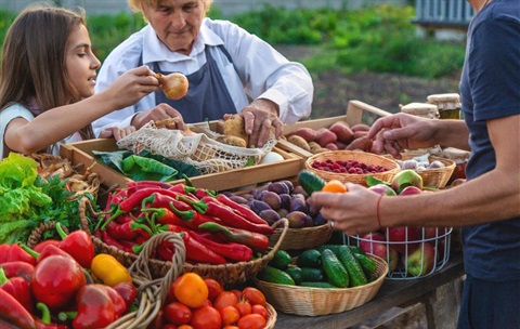 Food-forum.jpg
