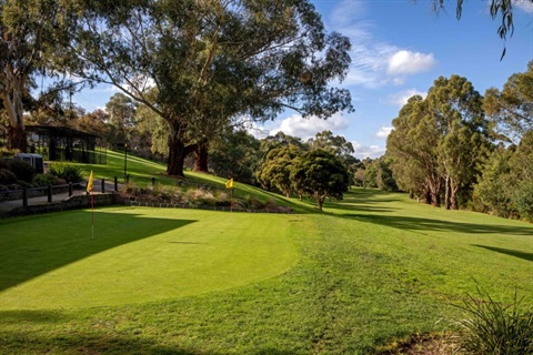 Friday-social-golf-Seniors-Festival-02-Oct-2026.jpeg