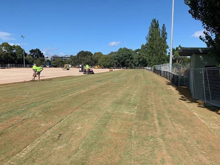 Holmesglen turf