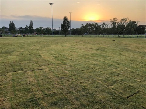 Princes Highway West Reserve 2023.jpg