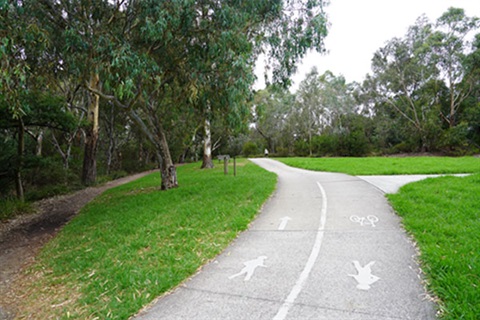 Shared bike path