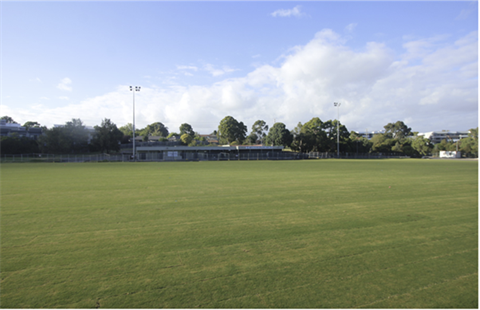 Turf installed - Holmesglen