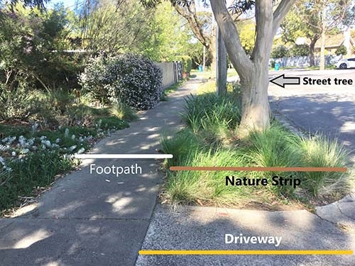 Nature Strip Guideline