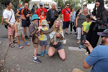 Clayton Festival 2024