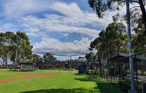 gladeswood-reserve-flyball-net.jpg
