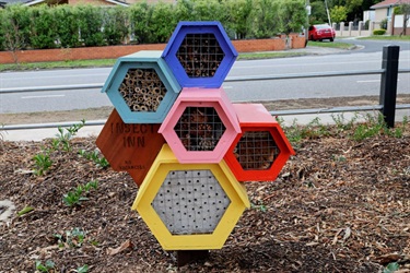 Pinewood Reserve playspace June 2025 insect hotel