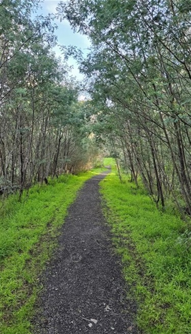 Queens Parade Reserve walking track