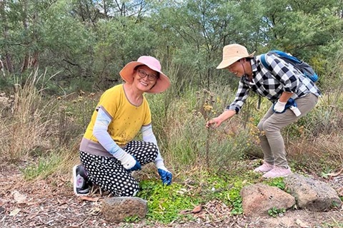 Environmental volunteers