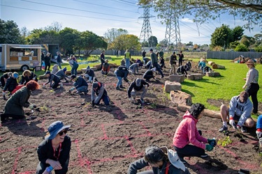 Fraser Street Reserve tiny forest planting day