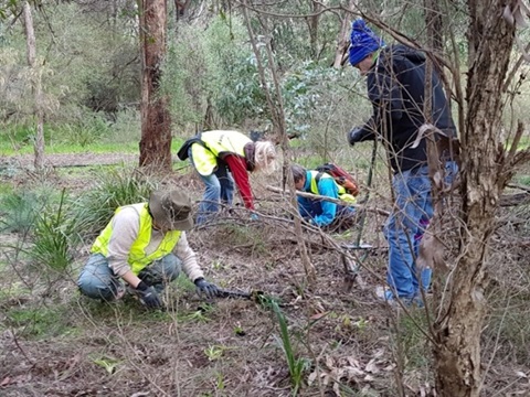 Friends of Scotchmans Creek Reserve weeding day