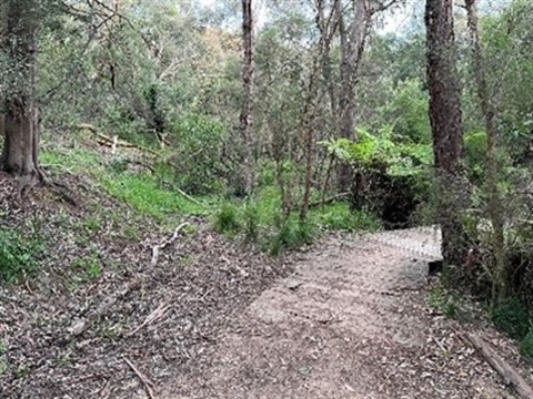 Walking path