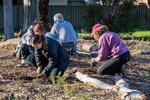 Kelly Street planting