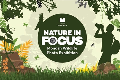 Nature in Focus web tile