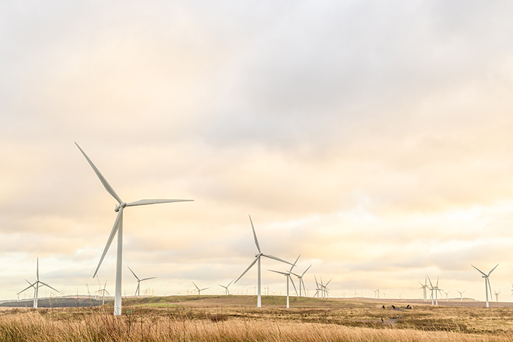 Wind farm