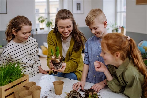 Children in a classroom with a female teacher as she takes a plant out of a pot