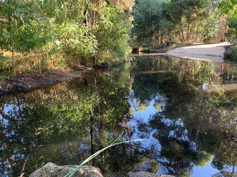 holmesglen sediment pond after desilting works