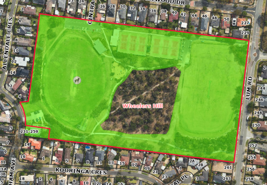 Lum Reserve dog off-leash area