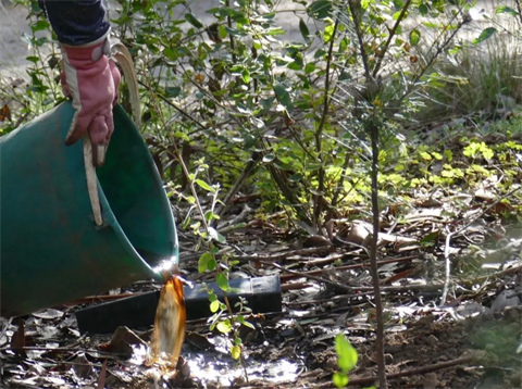 Opportunities exist within the KKA and its projects and programs.