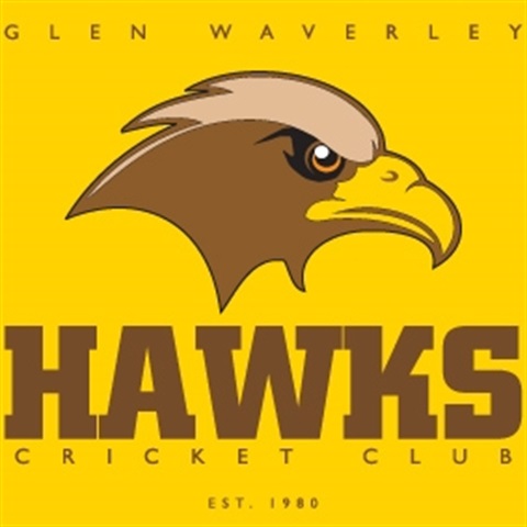 Hawks-Logo-Full-Yellow