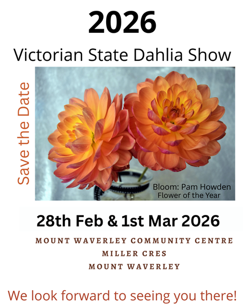 save-the-date-no-website