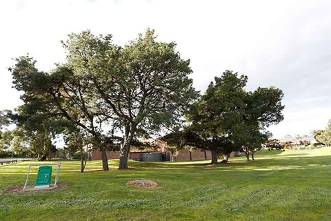 Southern Reserve caters for soccer, cricket and tennis enthusiasts with the Dandenong Casuals Soccer Club, St Pauls Cricket Club, Colombo's Sports Club and the Wellington Tennis Club.