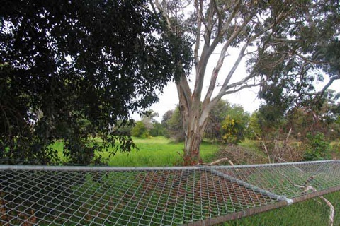 Former school site September 2015