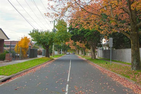 glen-waverley-street8.jpg