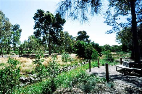 Scotchmans Creek Reserve  - Shared Pathway & Creek